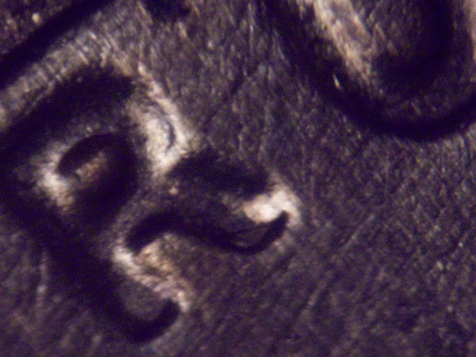 1978-D-WDDO-001-Found-In-BU-Roll